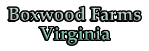 Boxwood Farms